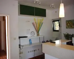 Hotel Green Lizard